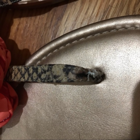 🏵BCBG Floral Snakeskin Sandals - Picture 5 of 8